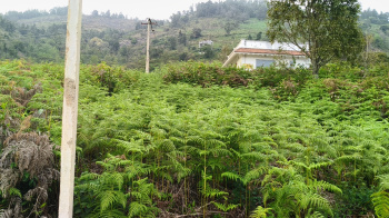  Residential Plot for Sale in Coonoor, Nilgiris