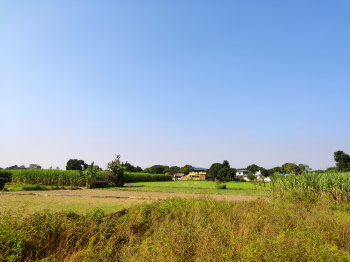  Residential Plot for Sale in Selaqui, Dehradun