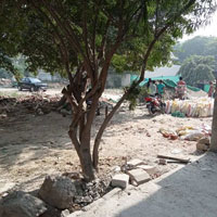  Residential Plot for Sale in Ashok Vihar, Gurgaon