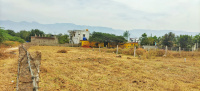  Residential Plot for Sale in Cumbum, Theni