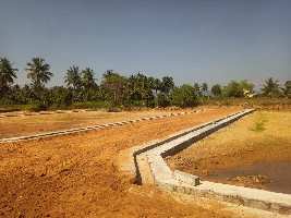  Residential Plot for Sale in Ayothiyapattinam, Salem