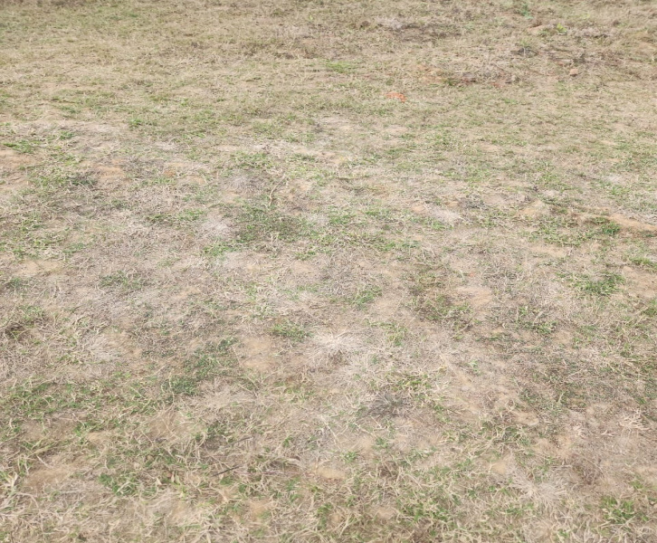  1200 Sq.ft. Residential Plot for Sale in Naubatpur, Patna