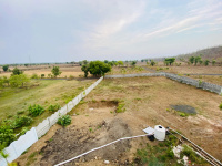  Agricultural Land for Sale in Khandwa Road, Indore