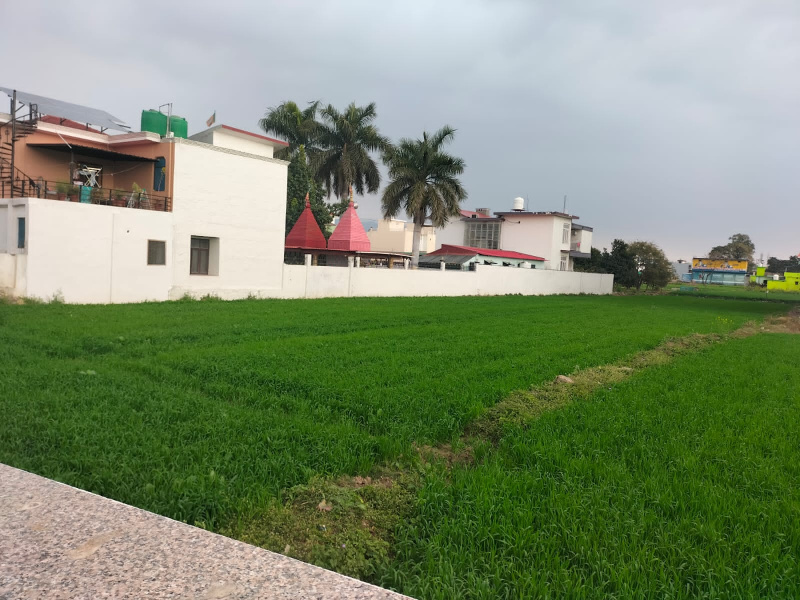  Commercial Land 39000 Sq.ft. for Sale in Niliam Colony, Haldwani