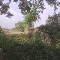  Agricultural Land for Sale in Bhawal Khera, Shahjahanpur