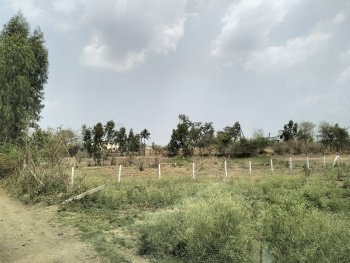  Agricultural Land for Sale in Charholi Budruk, Pune