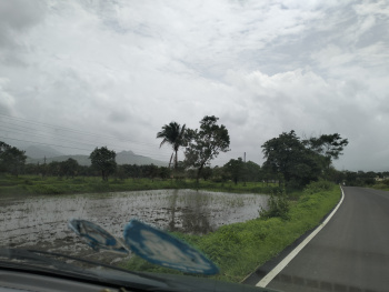  Agricultural Land for Sale in Maval, Pune