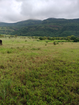  Agricultural Land for Sale in Maval, Pune
