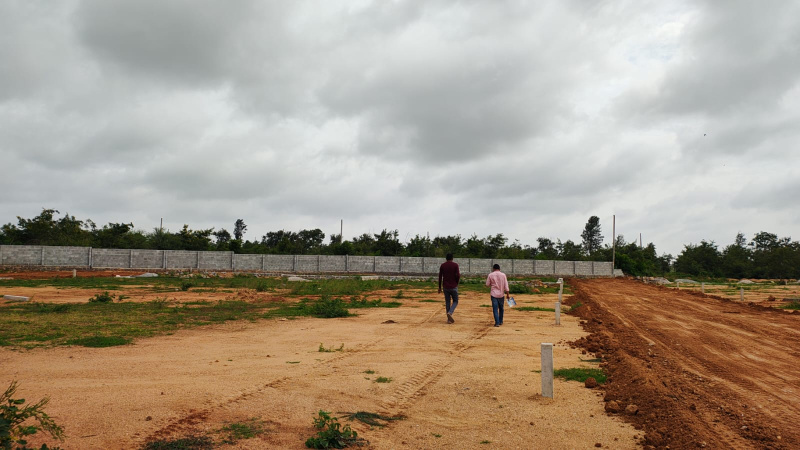  Residential Plot 183 Sq. Yards for Sale in Maheshwaram, Hyderabad