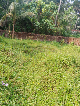  Commercial Land for Sale in Adayar, Mangalore