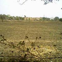  Residential Plot for Sale in Dharmanagar, North Tripura