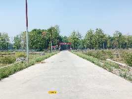  Residential Plot for Sale in Pondha, Dehradun