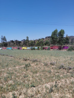  Residential Plot for Sale in Behat, Saharanpur