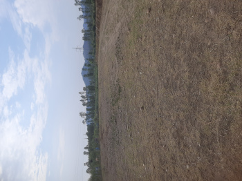  Agricultural Land for Sale in Behat, Saharanpur