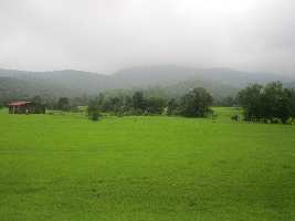  Commercial Land for Sale in Khunti, Ranchi, Ranchi