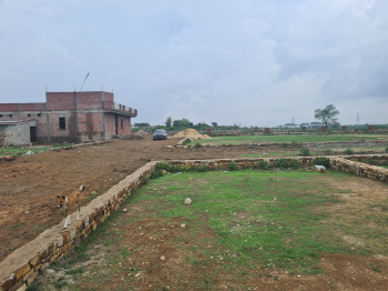  Residential Plot for Sale in Bara, Allahabad