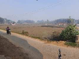  Agricultural Land for Sale in Campierganj, Gorakhpur