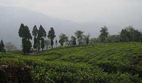 Residential Plot for Sale in Udhagamandalam, Ooty