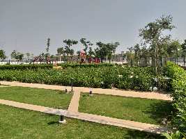  Residential Plot for Sale in Sector 77 Gurgaon