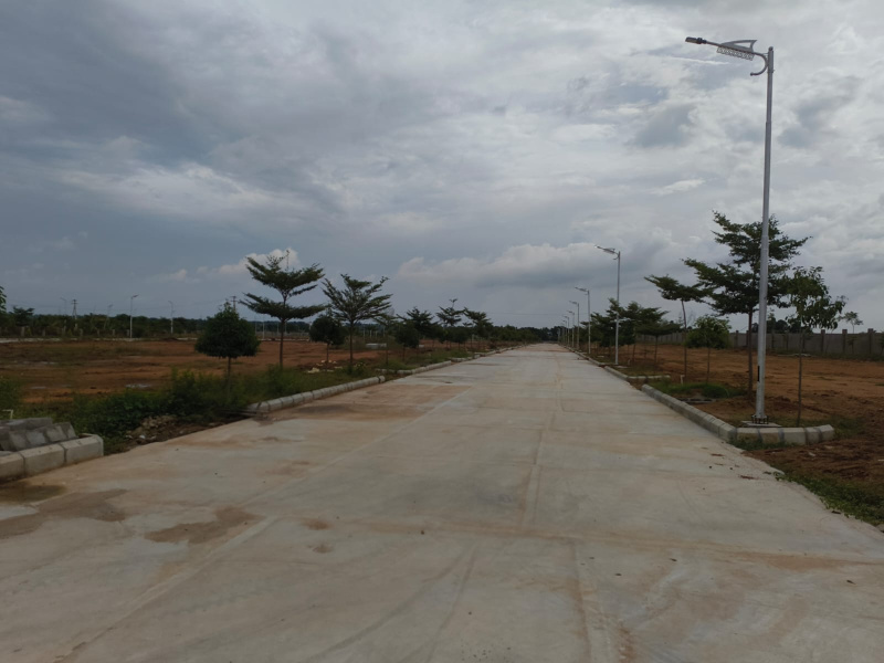  Residential Plot 250 Sq. Yards for Sale in Amangal, Rangareddy