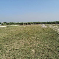  Agricultural Land for Sale in Chidderwala, Dehradun