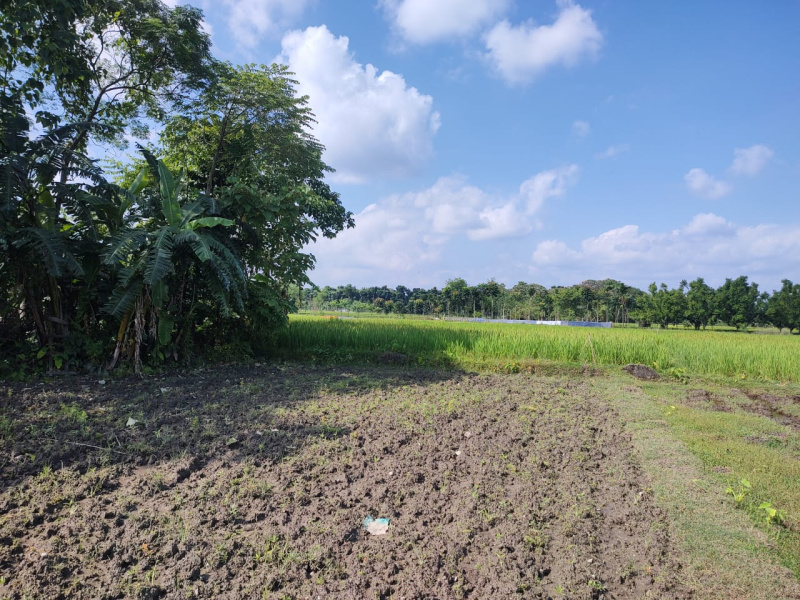  5040 Sq.ft. Residential Plot for Sale in Khalpara, Siliguri