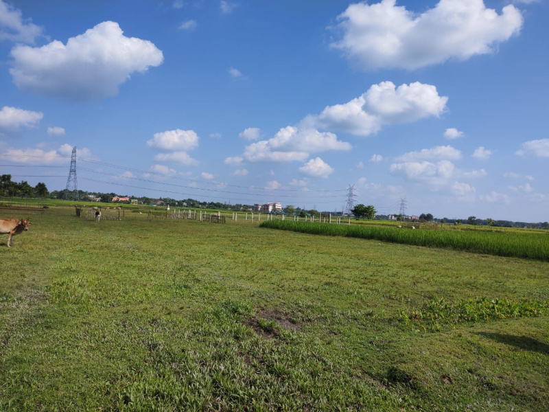 5040 Sq.ft. Residential Plot for Sale in Khalpara, Siliguri