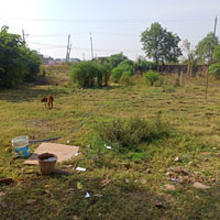  Commercial Land for Sale in Chanderi, Ashoknagar