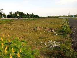  Commercial Land for Sale in Sector 44 Gurgaon