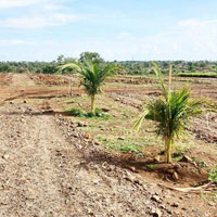  Residential Plot for Sale in Narayankhed, Sangareddy