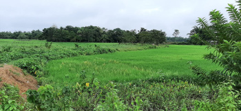  Commercial Land for Sale in Meherpur, Silchar