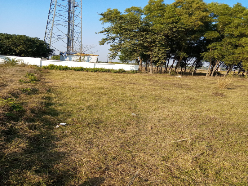  Residential Plot 3737 Sq.ft. for Sale in Bhanowara, Bardhaman