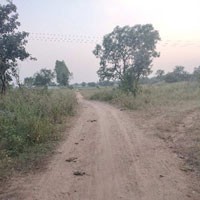  Agricultural Land for Sale in Pothreddipalle, Sangareddy