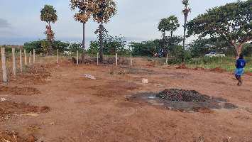  Agricultural Land for Sale in Vadapalanji Village, Madurai
