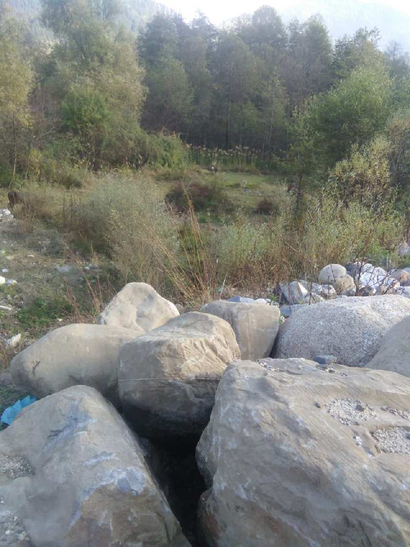 Agricultural Land 12 Biswa for Sale in Hadimba Temple Road, Manali