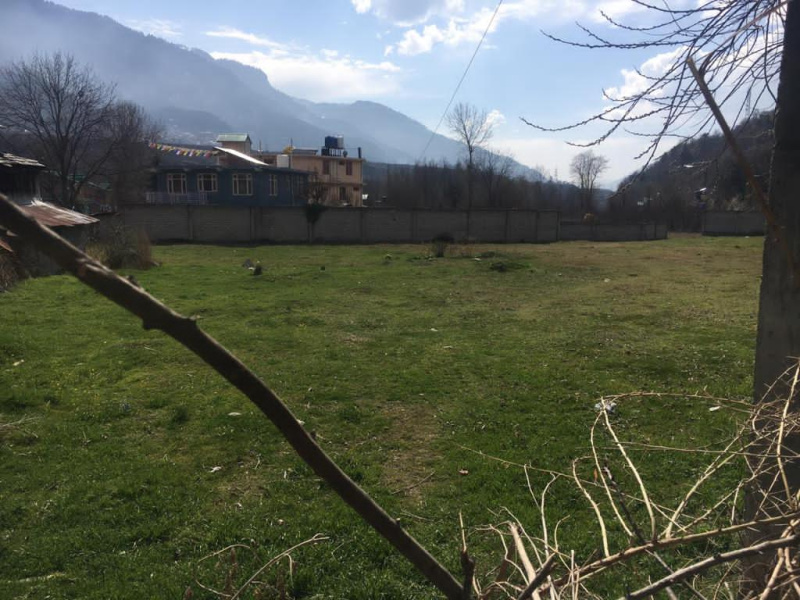 Agricultural Land 7 Bigha for Sale in Patlikuhal, Manali (REI1136072)