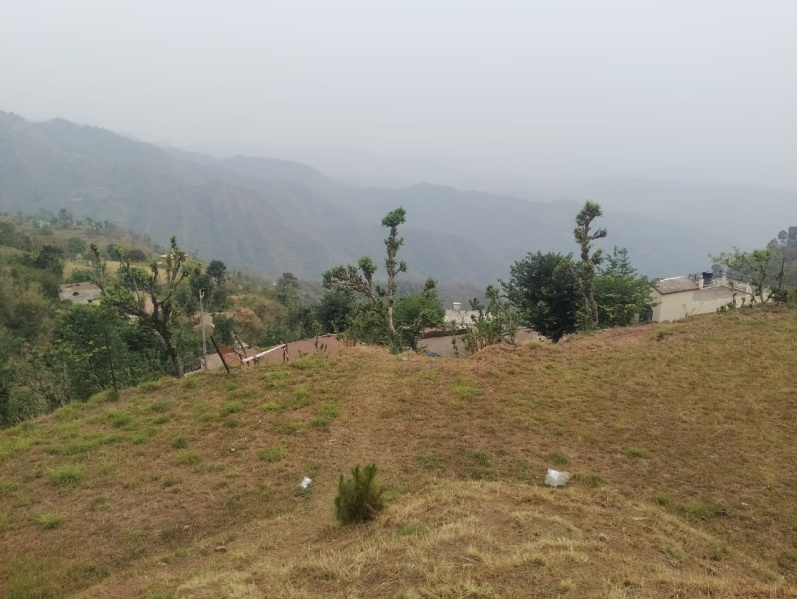 Agricultural Land 29 Biswa for Sale in