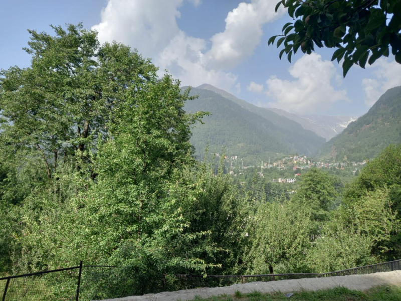 Agricultural Land 6 Biswa for Sale in Naggar Road, Manali