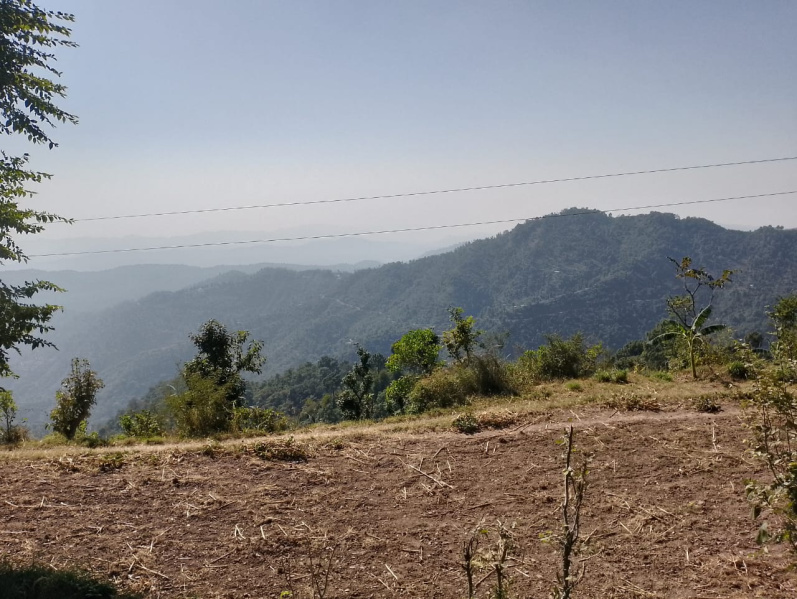  Agricultural Land 5 Biswa for Sale in Nahan, Sirmour