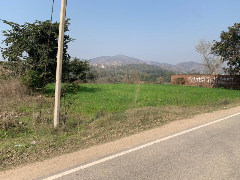  Agricultural Land 17 Biswa for Sale in Kala Amb, Sirmour