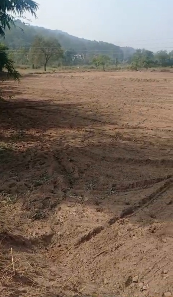  Agricultural Land 5 Bigha for Sale in Nahan, Sirmour