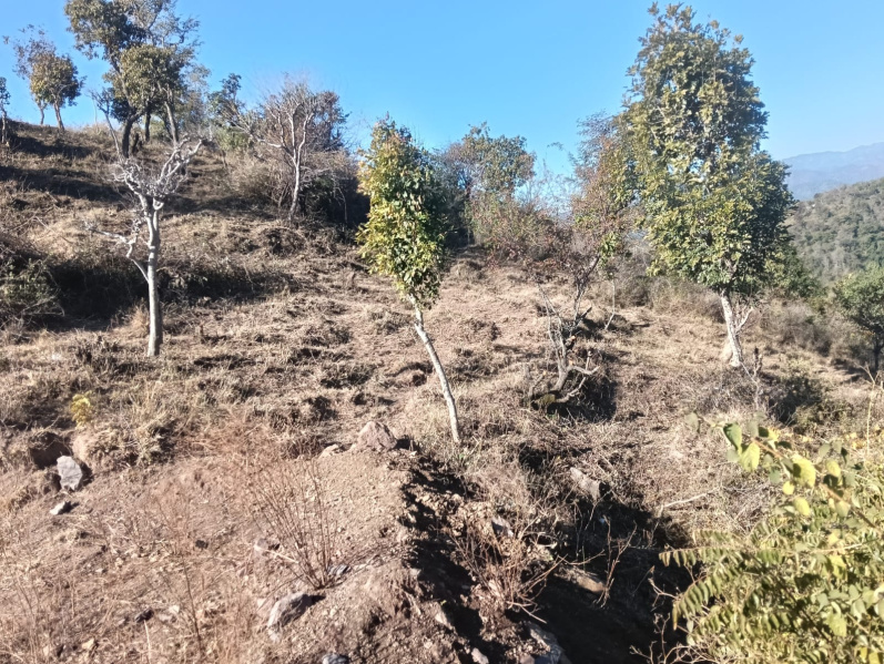  Agricultural Land 28 Bigha for Sale in Nahan, Sirmour