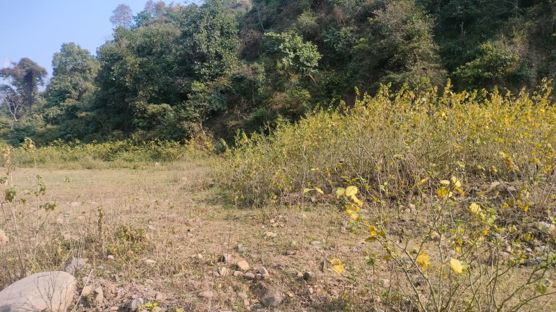  Agricultural Land 25 Bigha for Sale in Moginand, Sirmour