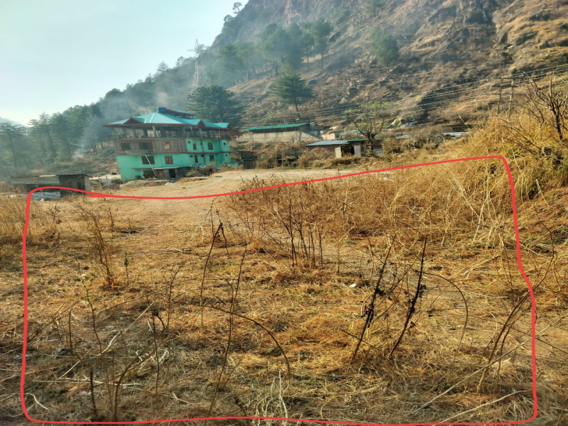  Agricultural Land 8 Biswa for Sale in Kasol, Kullu