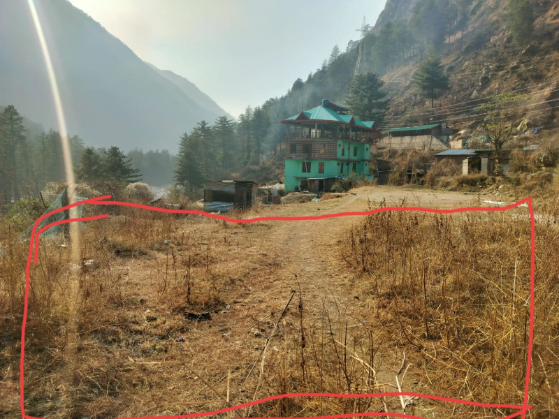  Agricultural Land 8 Biswa for Sale in Kasol, Kullu