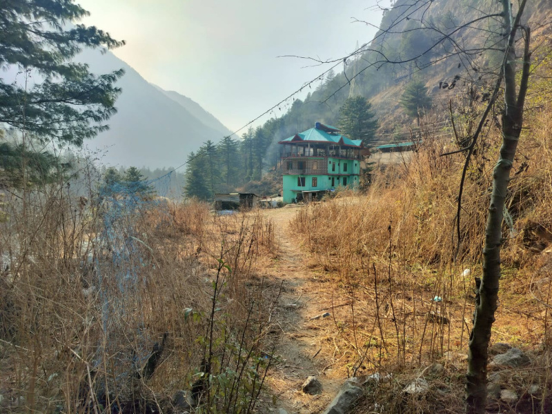  Agricultural Land 8 Biswa for Sale in Kasol, Kullu