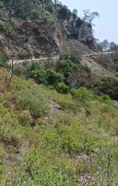  Agricultural Land 6 Bigha for Sale in Nahan, Sirmour