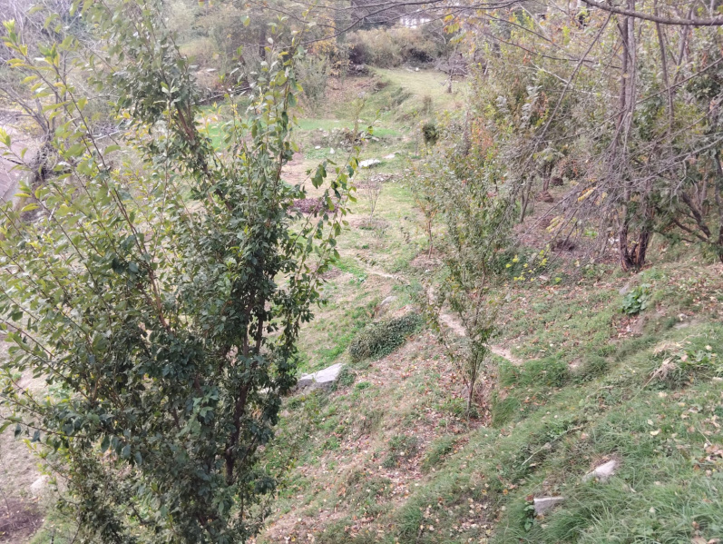  5 Bigha Agricultural/Farm Land for Rent in Hadimba Temple Road, Manali