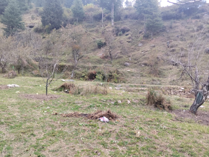  5 Bigha Agricultural/Farm Land for Rent in Hadimba Temple Road, Manali