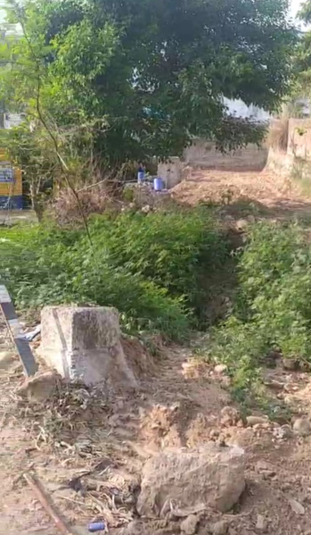  6 Biswa Residential Plot for Sale in Moginand, Sirmour
